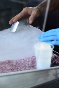 Il ghiaccio è grattato via dalla lastra detta "checca"