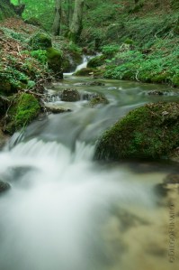 Immerso nel bosco, sui monti nasce il fiume Aniene