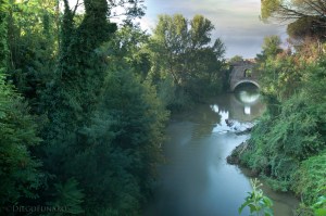 L'Aniene in piena passa sotto al ponte Nomentano a Roma