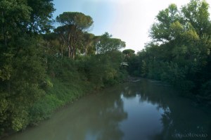 l'Aniene offre scorci bucolici anche in piena città. Qui il fiume è seguito dal verde di una natura lussureggiante e dai tipici pini romani