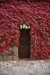 Una porta laterale del Villino Latini