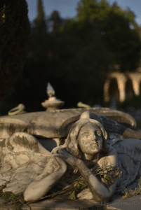 Il cimitero monumentale del Verano è costellato di vere opere d'arte